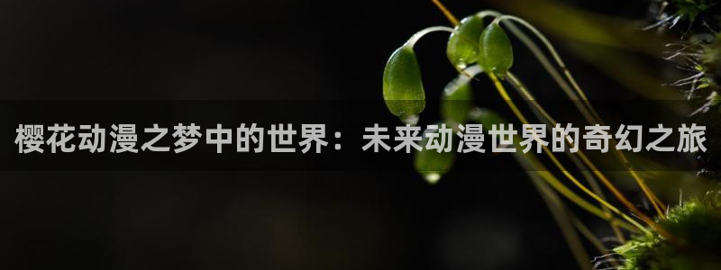 风车动漫530：樱花动漫之梦中的世界：未来动漫世界的奇幻之旅