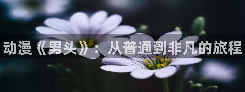 新风车动漫最新版：动漫《男头》：从普通到非凡的旅程