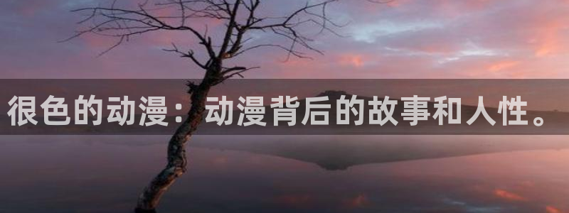 风车动漫 dm530：很色的动漫：动漫背后的故事和人性。