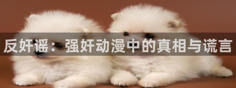 新风车动漫dm530：反奸谣：强奸动漫中的真相与谎言